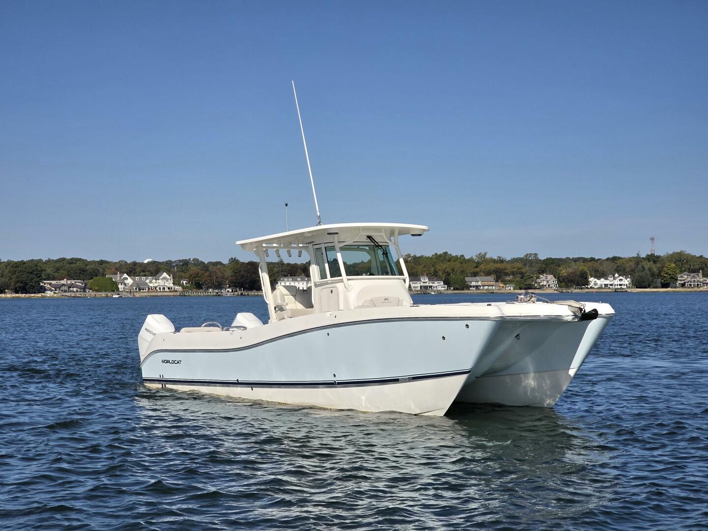 Slide: The Image of World Cat 32 2024 - 5781532