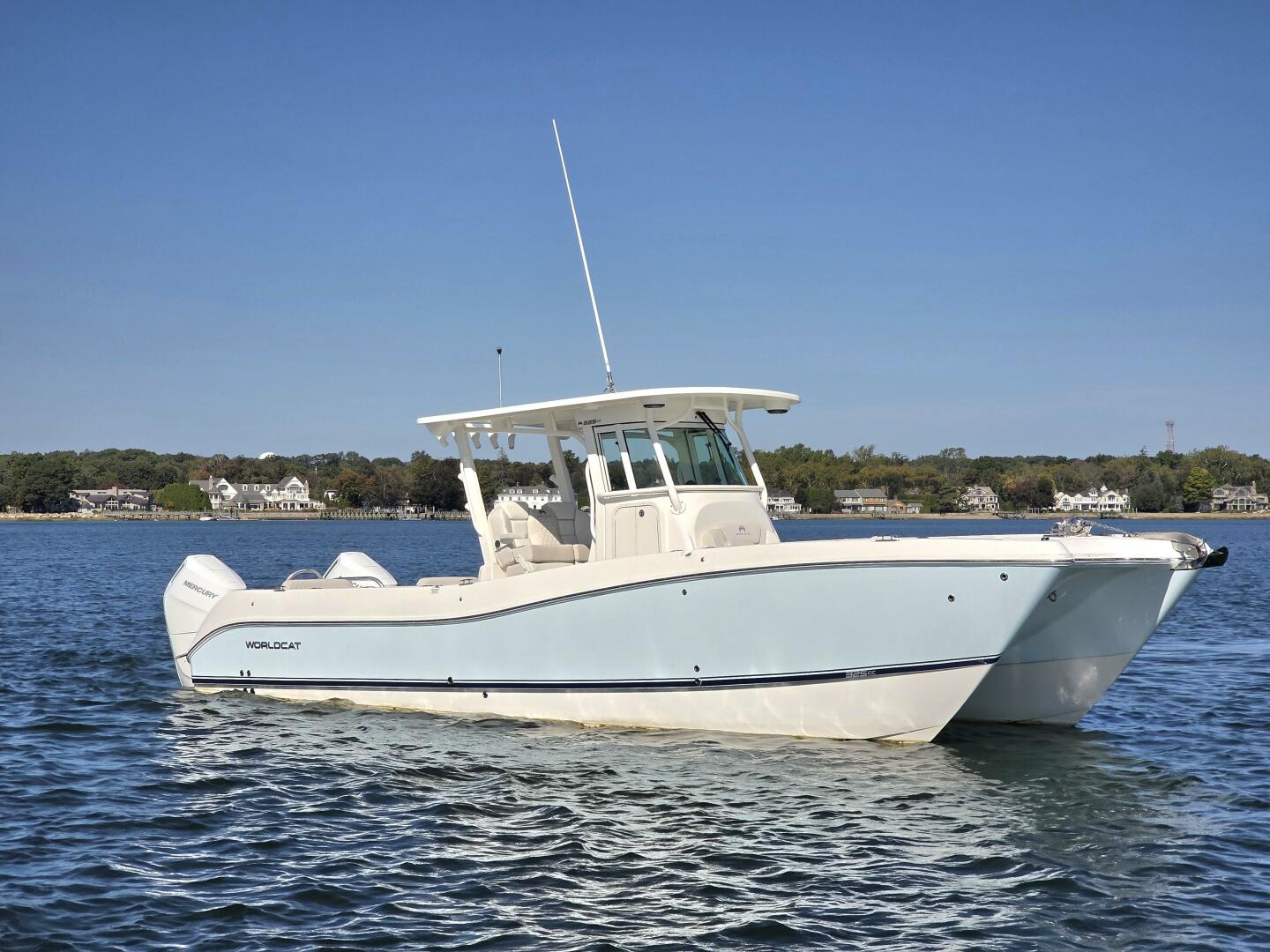 Slide: The Image of World Cat 32 2024 - 5781533