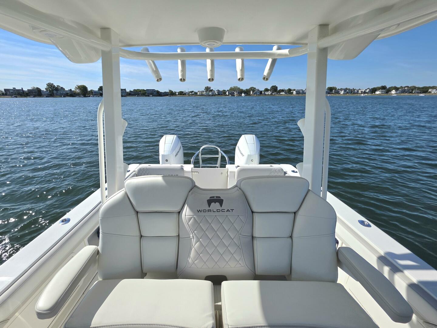 Slide: The Image of World Cat 32 2024 - 5781537