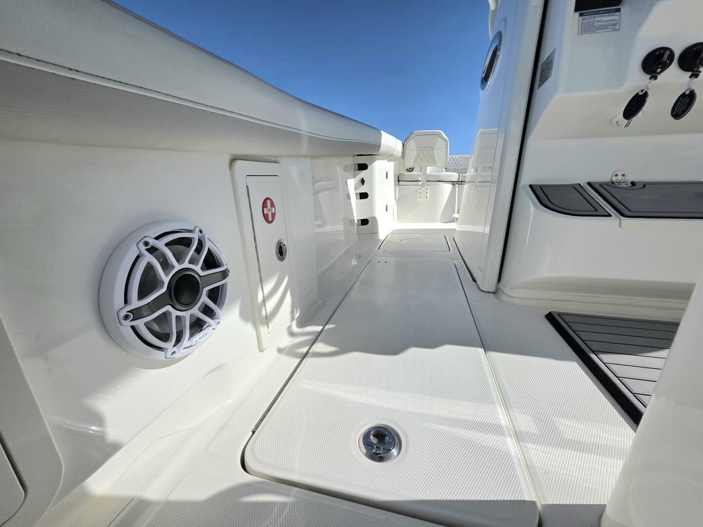 Slide: The Image of World Cat 32 2024 - 5781543