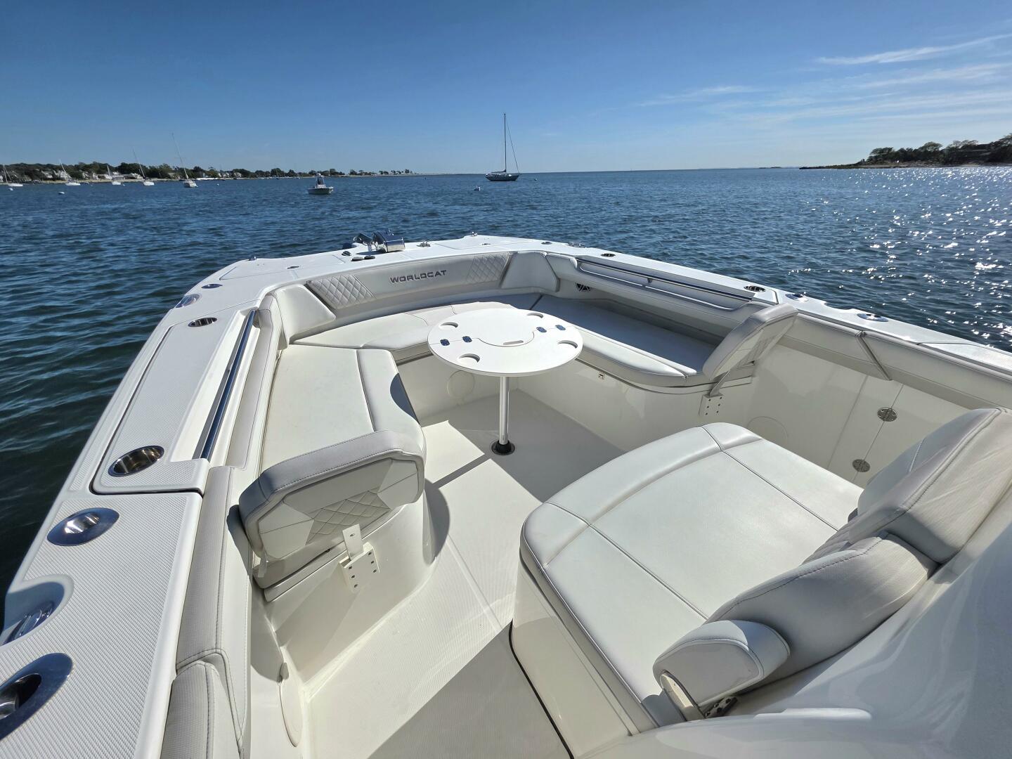 Slide: The Image of World Cat 32 2024 - 5781544