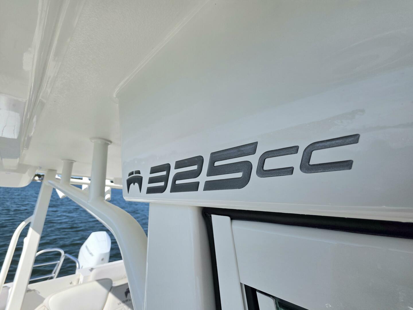 Slide: The Image of World Cat 32 2024 - 5781549