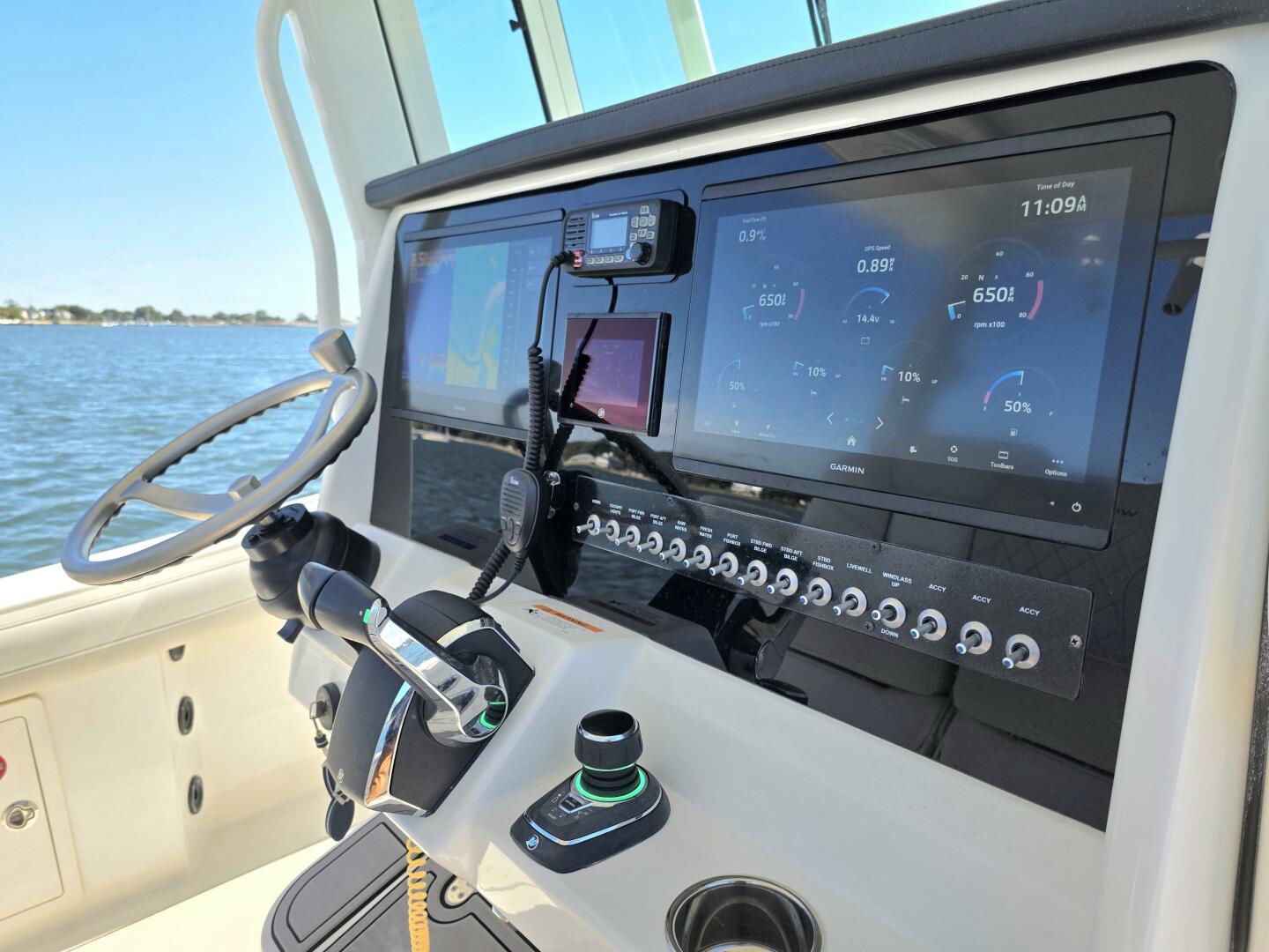 Slide: The Image of World Cat 32 2024 - 5781550